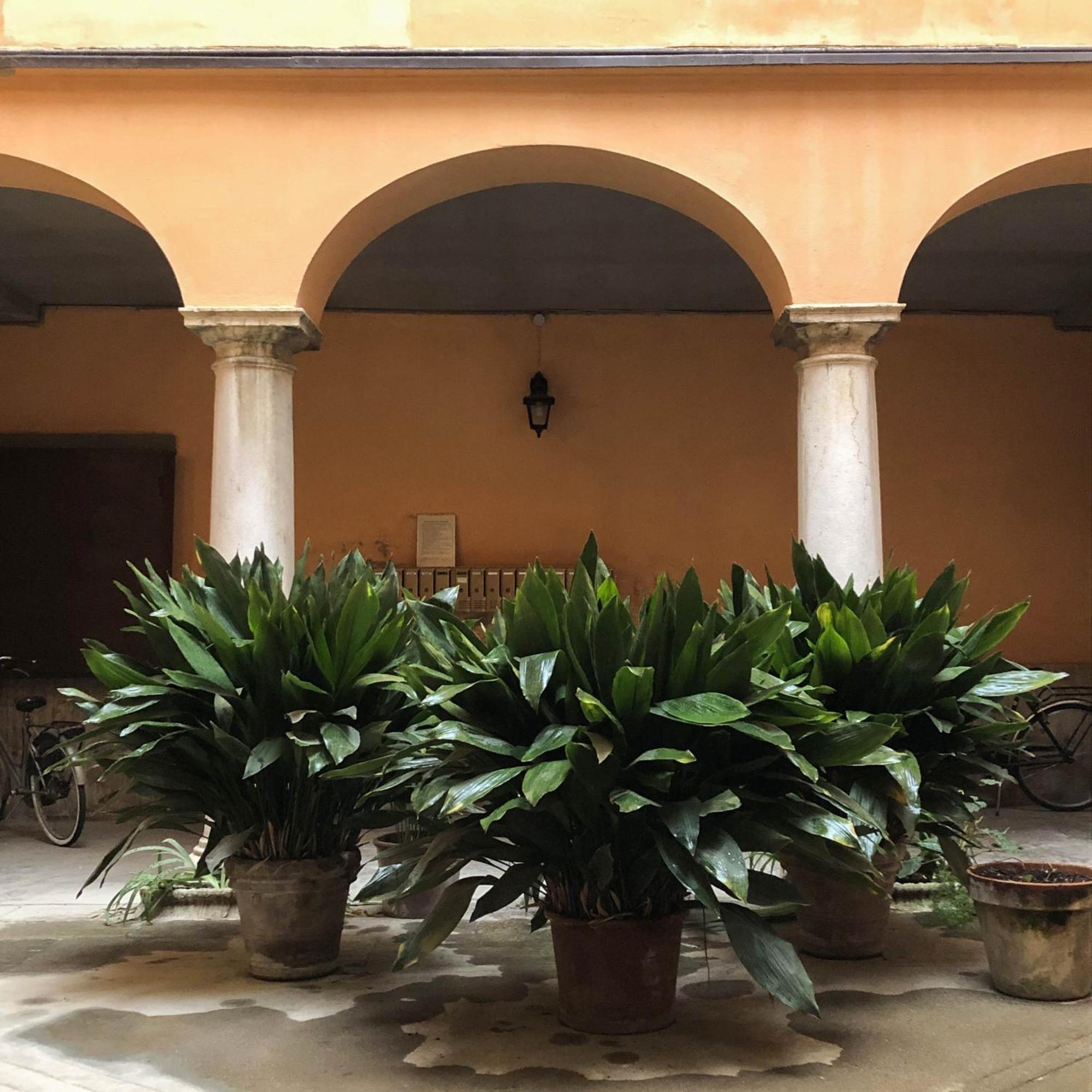 Casa Giulietta Apartment Cremona Ngoại thất bức ảnh